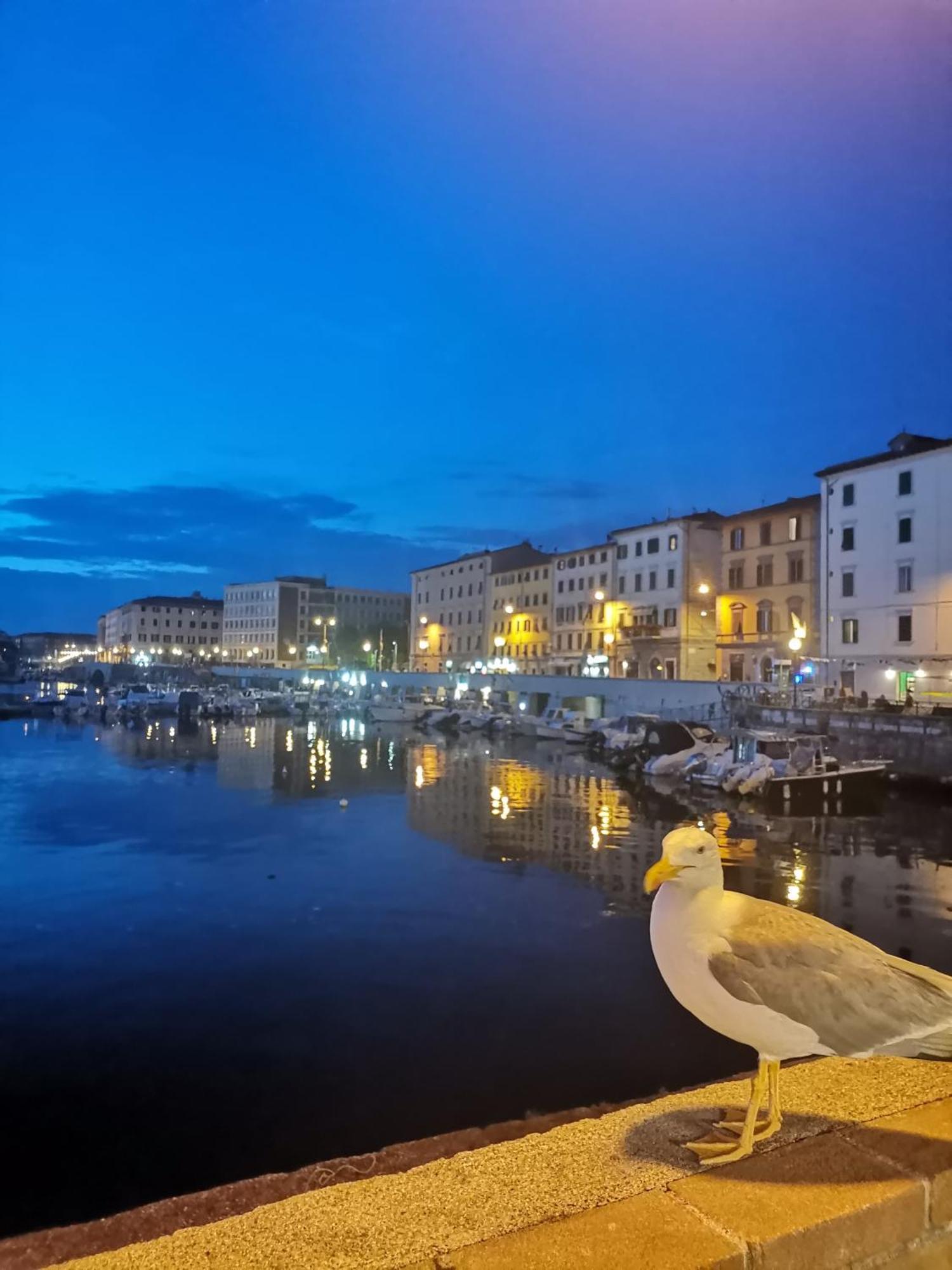 Appartamento Residenza Vittoria Livorno Esterno foto